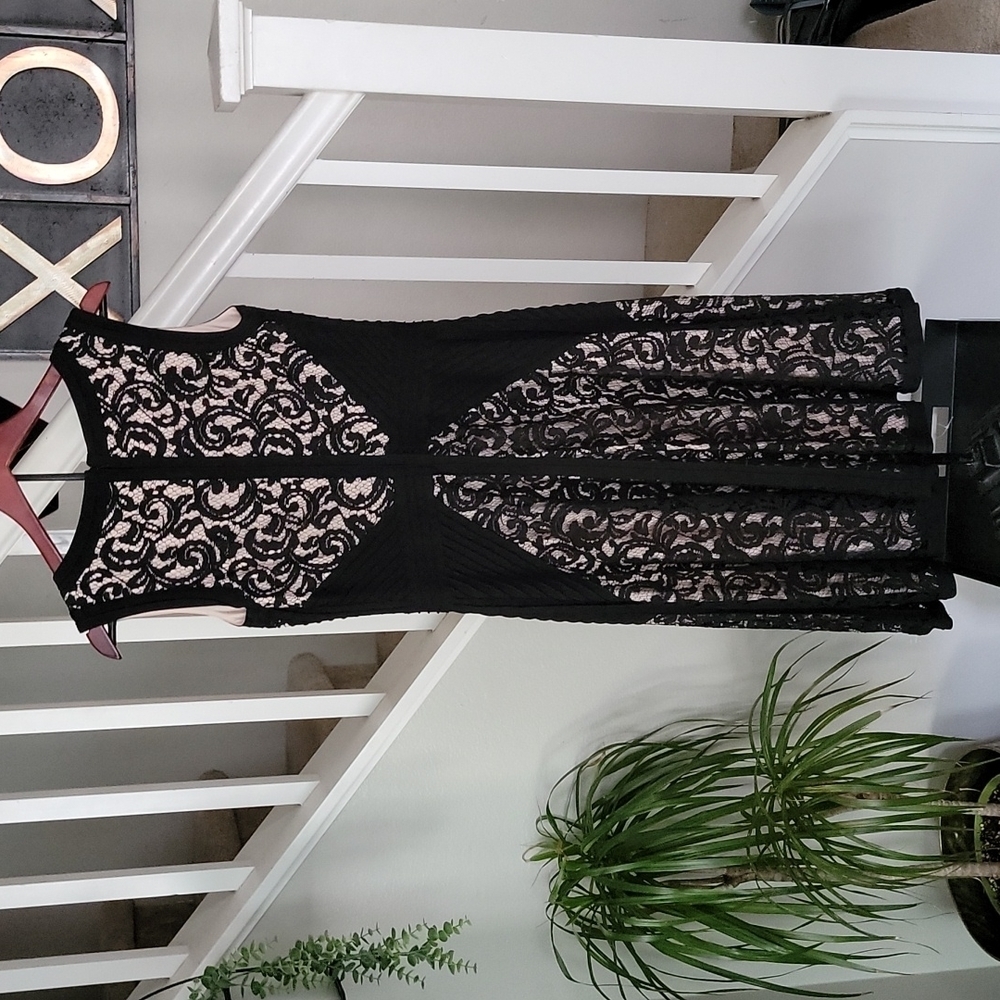 Tadashi Shoji Black Ivory/Tan Lace V-neck Sleeveless Night Out Dress - Picture 3 of 5